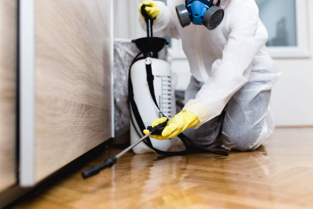 Best Residential Pest Control  in Mascoutah, IL