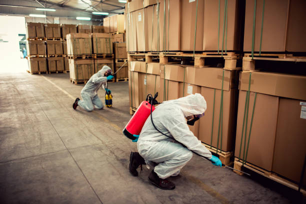 Best Local Pest Control Services  in Mascoutah, IL