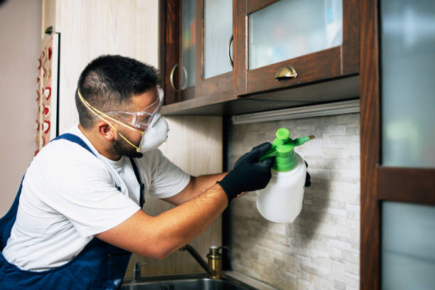 Best Cockroach Control Services  in Mascoutah, IL