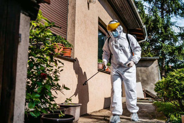 Reliable Mascoutah, IL Pest Control Solutions