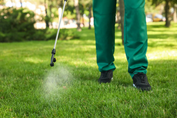 Best Pest Prevention Services  in Mascoutah, IL