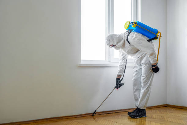 Best Pest Inspection Near Me  in Mascoutah, IL