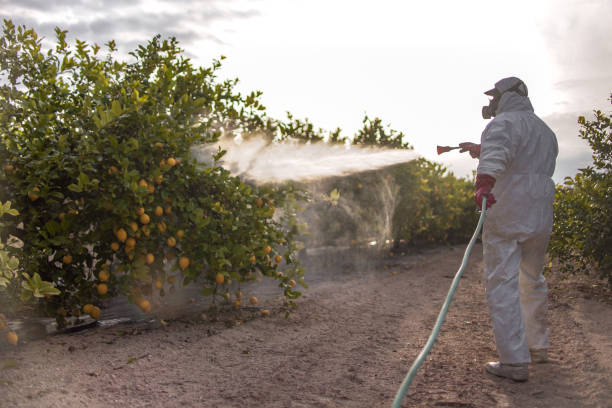  Mascoutah, IL Pest Control Pros