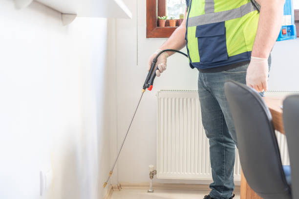Best Flea Control Services  in Mascoutah, IL