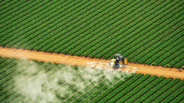 Best Commercial Pest Control Services  in Mascoutah, IL