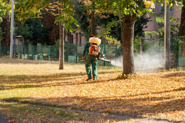 Best Pest Removal Services  in Mascoutah, IL