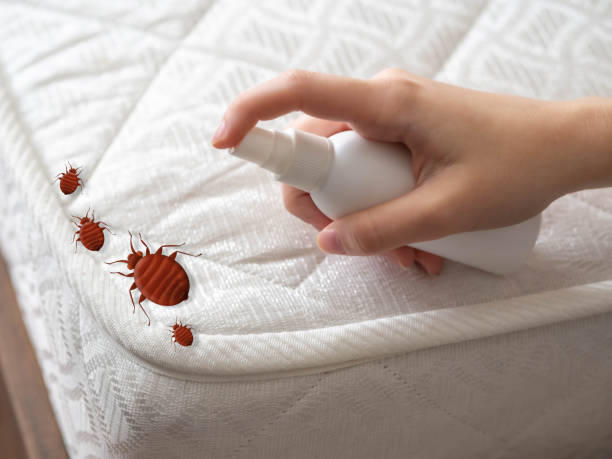 Best Best Pest Control Near Me  in Mascoutah, IL