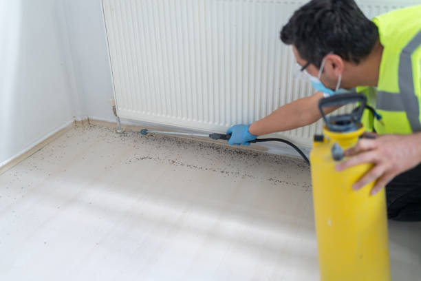 Best Affordable Pest Control Services  in Mascoutah, IL