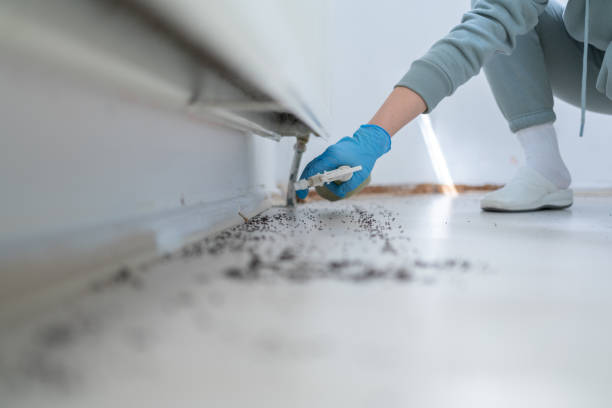 Best Exterminator Services  in Mascoutah, IL